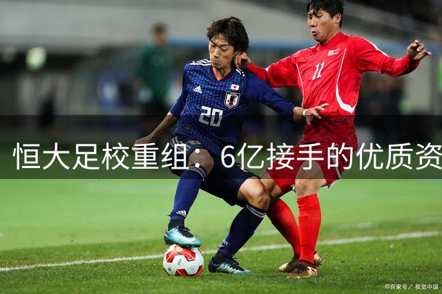 恒大足校重组：6亿接手的优质资产解析